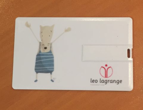 Carte de visite USB Association Léo Lagrange