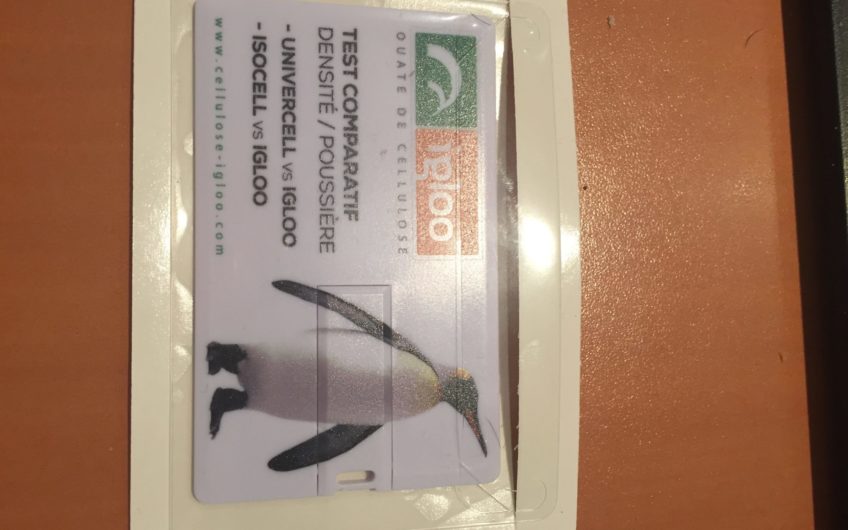 Clé USB carte de visite sous pochette plastique