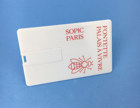 Carte de visite USB Sopic Paris